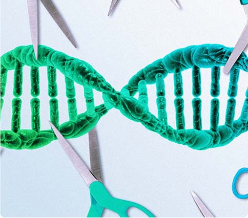 【戰(zhàn)略合作】西美杰攜手Synthego帶來先進的CRISPR技術(shù)解決方案